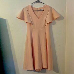 Calvin Klein Dress (Size 2)